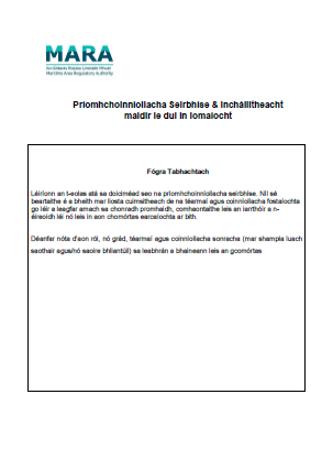 Candidate Information Booklet Irish